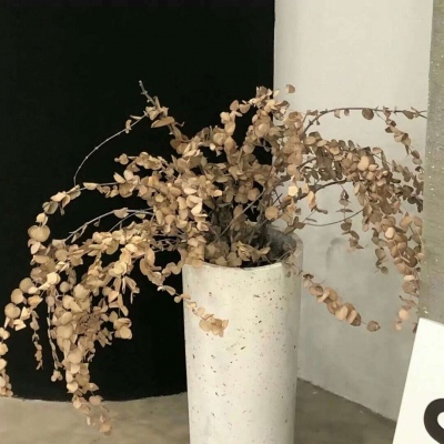 Furry插画细节提升技巧Furry群